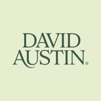David Austin Roses logo