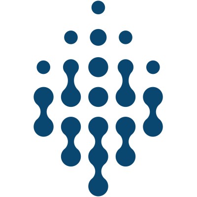 Deep Digital Solutions Group logo