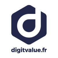 DigitValue logo