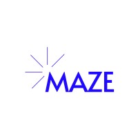 Digital Maze logo
