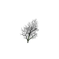 Dill & Zest logo