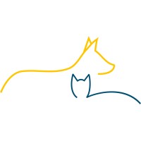 Dorchester Paws logo