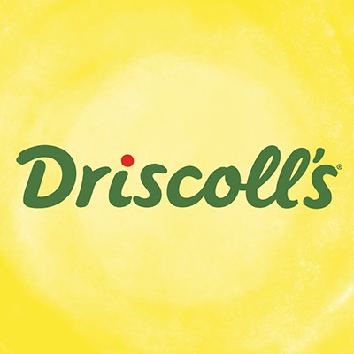 Driscoll's logo