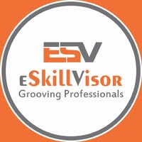 ESkillVisor logo