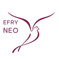 Elizabeth Fry Society of Northeastern Ontario logo
