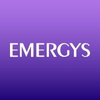 Emergys Solutions Private Limited (Formerly Ellicium Solutions Private Limited) logo