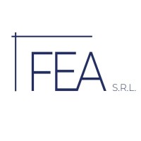 FEA SRL logo