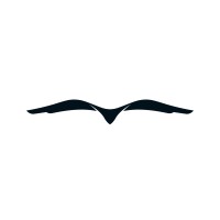 Gerando Falcões logo