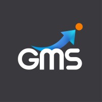GiantMind Solutions logo