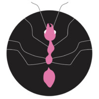 GreenAnt logo