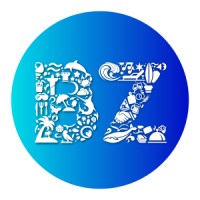 Grupo BZ logo