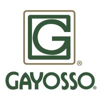 Grupo Gayosso logo