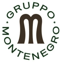 Gruppo Montenegro logo