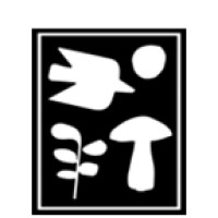 HARRISON GREEN logo