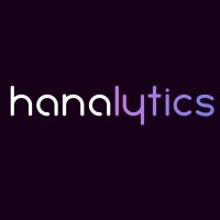 Hanalytics | Modern Data & Marketing Technologies logo