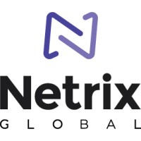Ideamine Technologies (Acquired by Netrix Global) logo