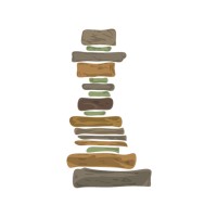 JMT Wilderness Conservancy logo