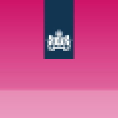 Justitiële Informatiedienst logo