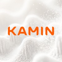 KAMIN logo