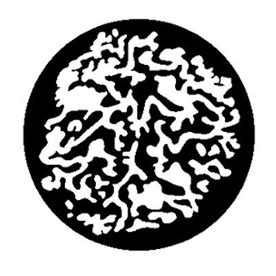Lagotto Executive Search & Interim logo
