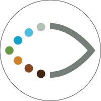 Lions World Vision Institute logo