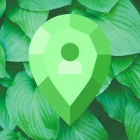 Local Treasures logo