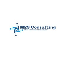 M2S CONSULTING logo