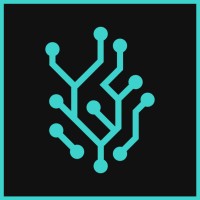 Mindsight Ventures logo