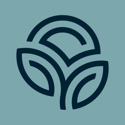 NSP logo
