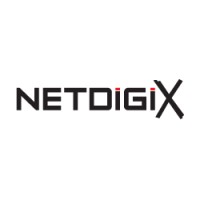 Netdigix Systems Inc logo