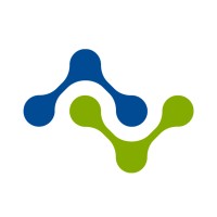 Netminds logo