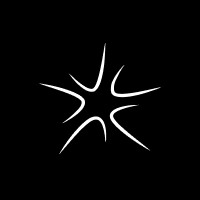 Neurostellar logo