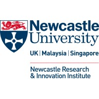 Newcastle Research & Innovation Institute in Singapore (NewRIIS) logo