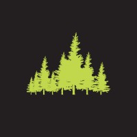 Northern Spruce Media logo