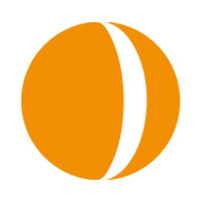 Noser Engineering AG logo