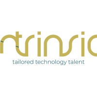 Ntrinsic Consulting logo
