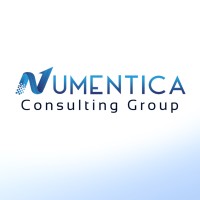 Numentica Consulting Group logo