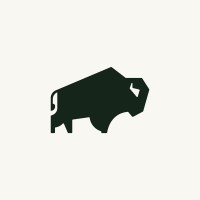 One Bison logo