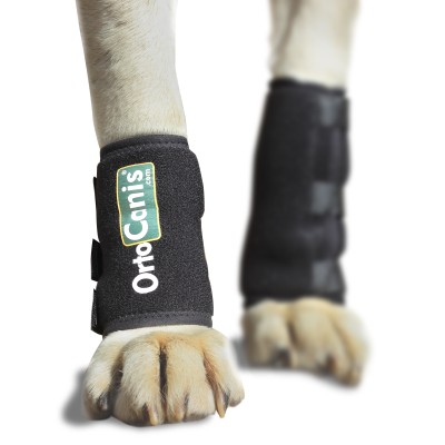 Ortocanis logo