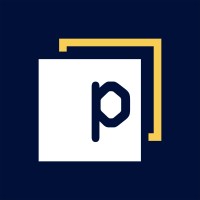 Panaseer logo