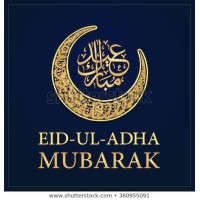 Placement Services logo