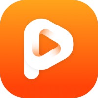 Playvalve logo