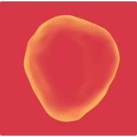 Prolaio logo