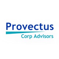 Provectus CorpAdvisors logo