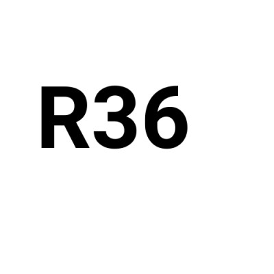 Route36 logo