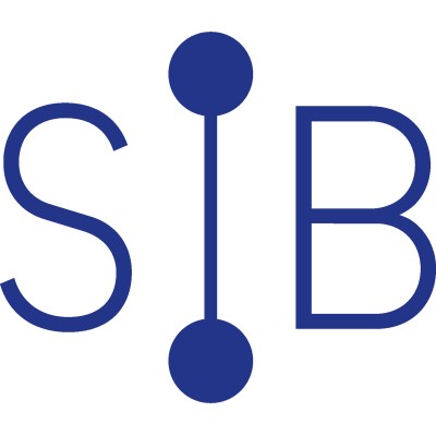 SIB [numérique, santé et secteur public] logo