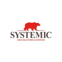 SYSTEMIC logo