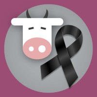Samoo - Elearning logo