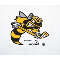 Sarnia Sting logo