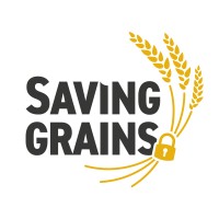 Saving Grains logo